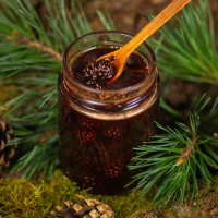 Варення з соснових шишок Варення з соснових шишок