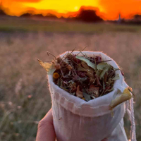 Чай Бабине літо