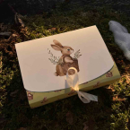 Святковий набір з лісу