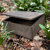 Деревянный ящик s