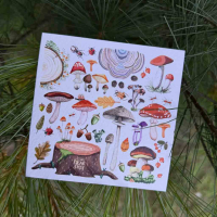 Листівка Гриби