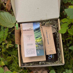 Коробочка Чай крепкий иммуните