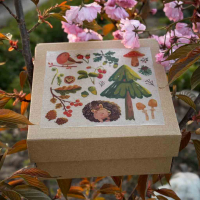 Картонная коробочка S ЇЖАк з лісу 