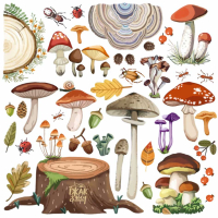 Листівка Гриби